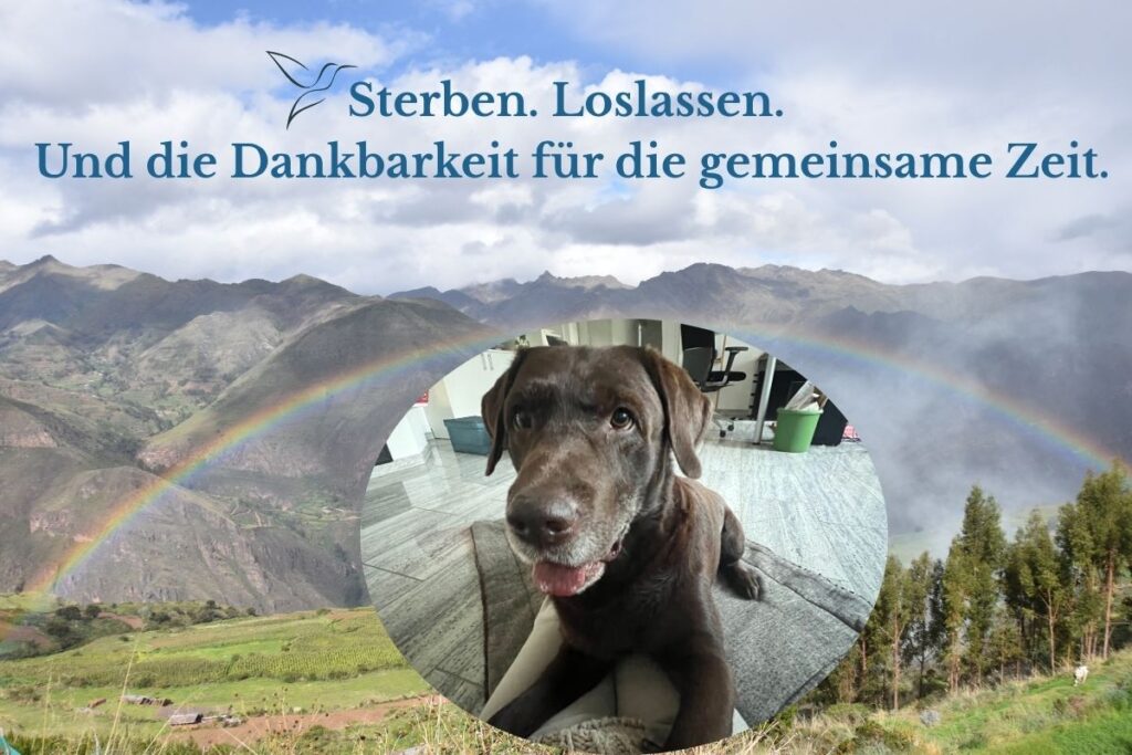 Das Bild zeigt eine Bergkulisse in Peru mit einem Regenbogen und Hund Sam (Bild: Manuela Eilers).